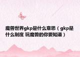 魔獸世界gkp是什么意思（gkp是什么制度 玩魔獸的你要知道）