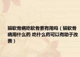 貓軟骨病吃軟骨素有用嗎（貓軟骨病用什么藥 吃什么藥可以有助于改善）