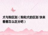 犬與狗區(qū)別（狗和犬的區(qū)別 快來看看怎么區(qū)分吧）