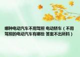 哪種電動(dòng)汽車(chē)不用駕照 電動(dòng)轎車(chē)（不用駕照的電動(dòng)汽車(chē)有哪些 答案不出所料）