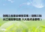 劍網(wǎng)三蟲草去哪里采集（劍網(wǎng)三指尖江湖蟲草位置 六大地點(diǎn)全都有）