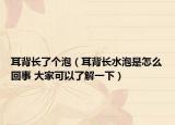 耳背長了個泡（耳背長水泡是怎么回事 大家可以了解一下）