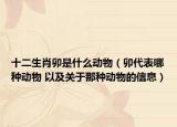 十二生肖卯是什么動物（卯代表哪種動物 以及關(guān)于那種動物的信息）