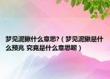 夢見泥鰍什么意思?（夢見泥鰍是什么預(yù)兆 究竟是什么意思呢）