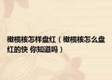 橄欖核怎樣盤紅（橄欖核怎么盤紅的快 你知道嗎）