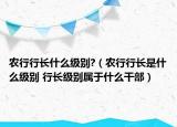 農(nóng)行行長(zhǎng)什么級(jí)別?（農(nóng)行行長(zhǎng)是什么級(jí)別 行長(zhǎng)級(jí)別屬于什么干部）