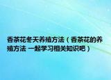 香茶花冬天養(yǎng)殖方法（香茶花的養(yǎng)殖方法 一起學(xué)習(xí)相關(guān)知識吧）