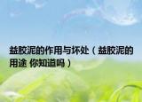 益膠泥的作用與壞處（益膠泥的用途 你知道嗎）
