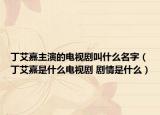丁艾嘉主演的電視劇叫什么名字（丁艾嘉是什么電視劇 劇情是什么）