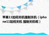 蘋果11如何關(guān)機(jī)強(qiáng)制關(guān)機(jī)（iphone11如何關(guān)機(jī) 強(qiáng)制關(guān)機(jī)呢）
