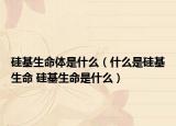 硅基生命體是什么（什么是硅基生命 硅基生命是什么）