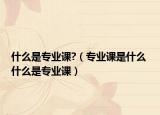 什么是專業(yè)課?（專業(yè)課是什么 什么是專業(yè)課）
