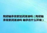 陶瓷軸承需要加潤滑油嗎（陶瓷軸承需要潤滑油嗎 軸承在什么環(huán)境）