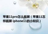 蘋果11pro怎么截屏（蘋果11怎樣截屏 iphone11的小知識）
