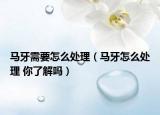 馬牙需要怎么處理（馬牙怎么處理 你了解嗎）