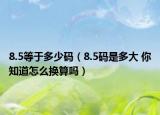 8.5等于多少碼（8.5碼是多大 你知道怎么換算嗎）