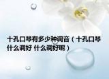 十孔口琴有多少種調(diào)音（十孔口琴什么調(diào)好 什么調(diào)好呢）