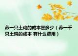 養(yǎng)一只土雞的成本是多少（養(yǎng)一千只土雞的成本 有什么費用）