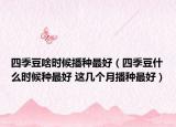 四季豆啥時(shí)候播種最好（四季豆什么時(shí)候種最好 這幾個(gè)月播種最好）