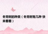 冬青樹的種類（冬青樹有幾種 快來看看）