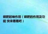 磷肥起啥作用（磷肥的作用及功能 快來看看吧）