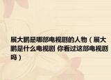 展大鵬是哪部電視劇的人物（展大鵬是什么電視劇 你看過這部電視劇嗎）