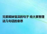 兄弟姐妹情深的句子 給大家整理這幾句話的意思