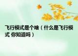 飛行模式是個啥（什么是飛行模式 你知道嗎）
