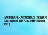 山東東營黃河入?？诼糜尉包c（東營黃河入海口好玩嗎 黃河入?？跐竦毓珗@值得去嗎）