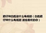 肥仔坤白勝是什么電視?。ò讋俜首欣な裁措娨晞?送給喜歡的你）