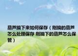 葫蘆摘下來如何保存（剛摘的葫蘆怎么處理保存 剛摘下的葫蘆怎么保管）