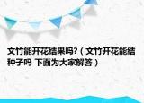 文竹能開花結(jié)果嗎?（文竹開花能結(jié)種子嗎 下面為大家解答）