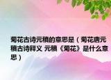 菊花古詩元稹的意思是（菊花唐元稹古詩釋義 元稹《菊花》是什么意思）