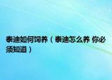 泰迪如何飼養(yǎng)（泰迪怎么養(yǎng) 你必須知道）