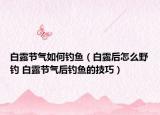 白露節(jié)氣如何釣魚（白露后怎么野釣 白露節(jié)氣后釣魚的技巧）