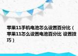 蘋果11手機電池怎么設置百分比（蘋果11怎么設置電池百分比 設置技巧）