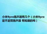 小米9pro揚聲器有幾個（小米9pro是不是雙揚聲器 有知道的嗎）