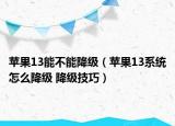 蘋果13能不能降級（蘋果13系統(tǒng)怎么降級 降級技巧）