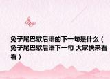 兔子尾巴歇后語(yǔ)的下一句是什么（兔子尾巴歇后語(yǔ)下一句 大家快來看看）