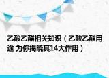 乙酸乙酯相關(guān)知識（乙酸乙酯用途 為你揭曉其14大作用）