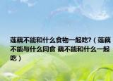 蓮藕不能和什么食物一起吃?（蓮藕不能與什么同食 藕不能和什么一起吃）