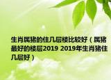 生肖屬豬的住幾層樓比較好（屬豬最好的樓層2019 2019年生肖豬住幾層好）