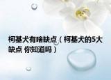 柯基犬有啥缺點(diǎn)（柯基犬的5大缺點(diǎn) 你知道嗎）