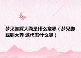 夢見腳踩大糞是什么意思（夢見腳踩到大糞 這代表什么呢）