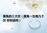 屬兔的三大坎（屬兔一生有幾個坎 你知道嗎）