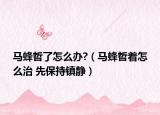 馬蜂哲了怎么辦?（馬蜂哲著怎么治 先保持鎮(zhèn)靜）