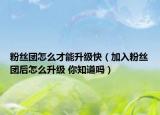 粉絲團怎么才能升級快（加入粉絲團后怎么升級 你知道嗎）