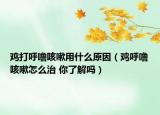雞打呼?？人杂檬裁丛颍u呼?？人栽趺粗?你了解嗎）