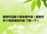 魔獸懷舊服37級去哪升級（魔獸世界37級到哪里升級 了解一下）