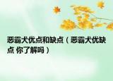 惡霸犬優(yōu)點(diǎn)和缺點(diǎn)（惡霸犬優(yōu)缺點(diǎn) 你了解嗎）